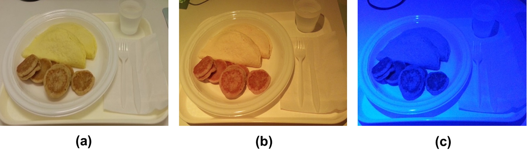 Fig. 1 from S. Cho et al./Appetite 85 (2015) 111–117