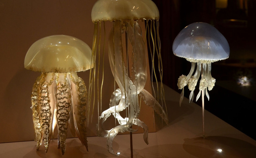 glass jellyfish