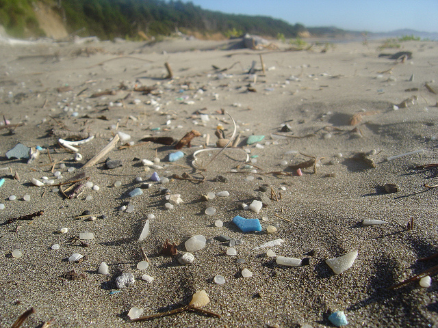 Microplastics, or a tale in human stupidity | Day 70
