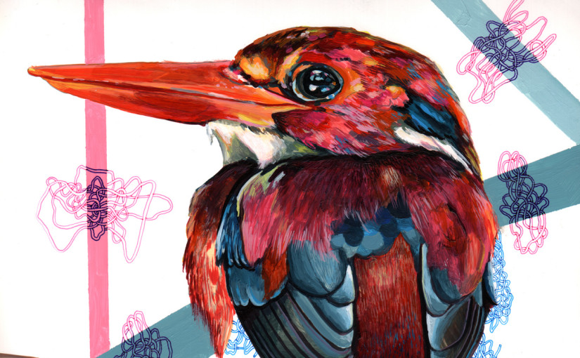 Picture Wednesday: Juan Travieso’s colourful endangered birds | Day 324